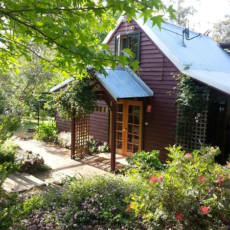 Redgum Hill Country Retreat Pensionat Balingup Exteriör bild