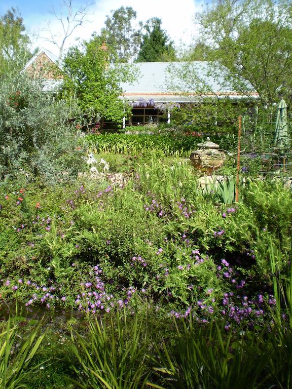 Redgum Hill Country Retreat Pensionat Balingup Rum bild