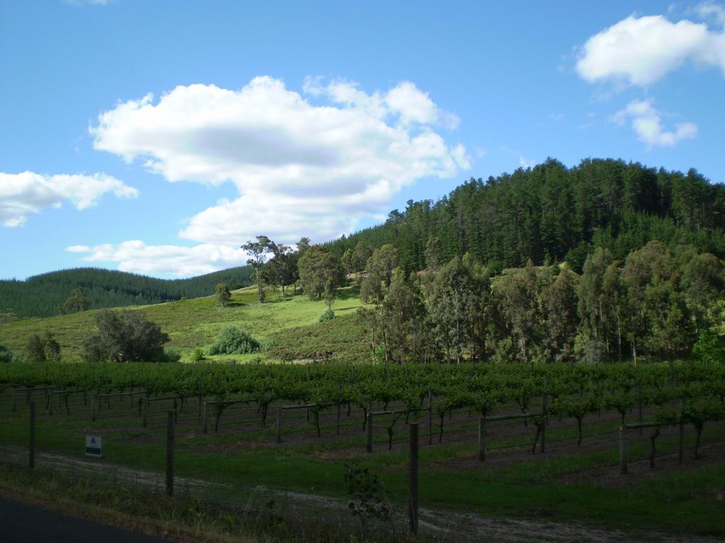 Redgum Hill Country Retreat Pensionat Balingup Exteriör bild