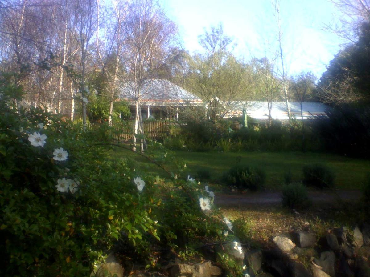 Redgum Hill Country Retreat Pensionat Balingup Exteriör bild