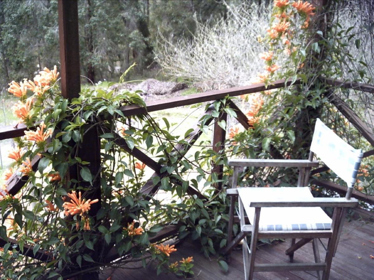 Redgum Hill Country Retreat Pensionat Balingup Exteriör bild