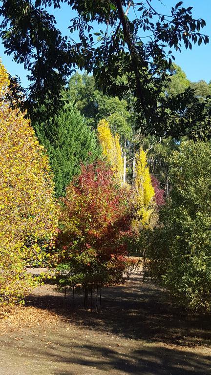 Redgum Hill Country Retreat Pensionat Balingup Exteriör bild