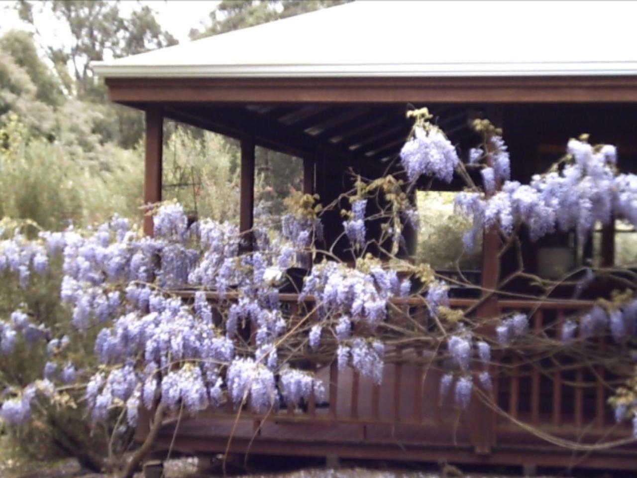 Redgum Hill Country Retreat Pensionat Balingup Exteriör bild