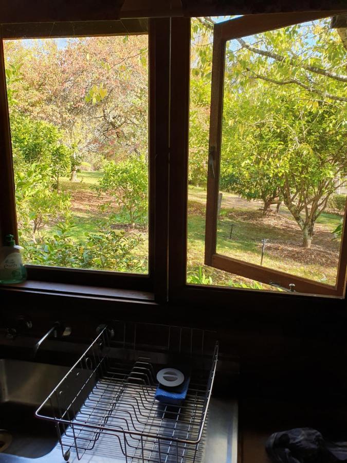 Redgum Hill Country Retreat Pensionat Balingup Exteriör bild